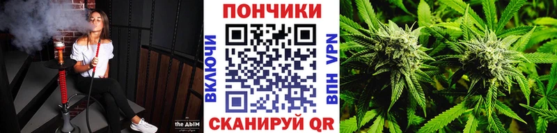 цена   MEGA tor  Бошки марихуана планчик  Нестеровская 